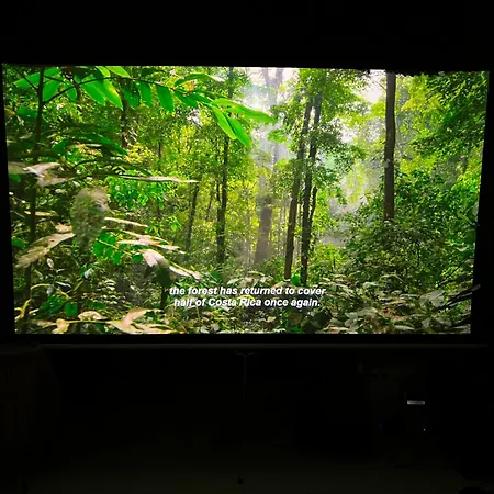 Urokliwy Azyl W Miescie: Komfort I Spokoj, Projektor I Hi-fi, 6 Minut Kolejka Do Centrum.