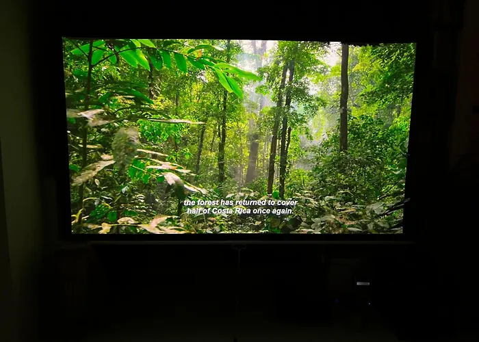 Urokliwy Azyl W Miescie: Komfort I Spokoj, Projektor I Hi-fi, 6 Minut Kolejka Do Centrum.