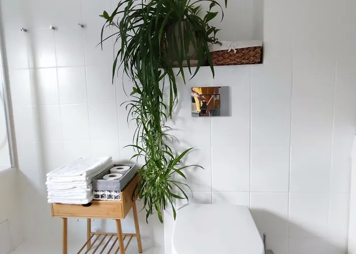 Apartament Urokliwy Azyl W Mieście: Komfort I Spokój, Projektor I Hi-fi, 6 Minut Kolejką Do Centrum.